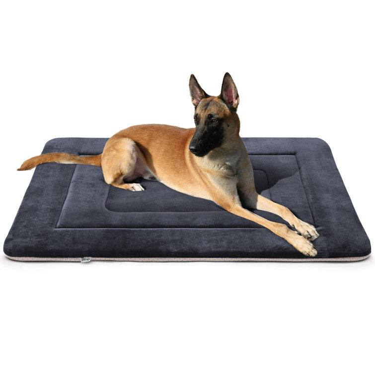 Washable dog shop bed for crate